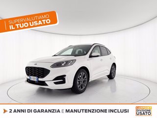 FORD Kuga 1.5 ecoblue st-line x 2wd 120cv auto