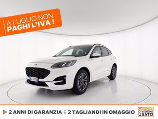 FORD Kuga 1.5 ecoblue st-line x 2wd 120cv auto