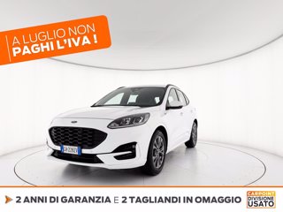 FORD Kuga 1.5 ecoblue st-line 2wd 120cv