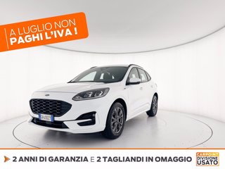FORD Kuga 2.5 full hybrid st-line 2wd 190cv cvt