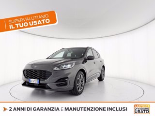 FORD Kuga 1.5 ecoblue st-line 2wd 120cv