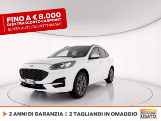 FORD Kuga 2.5 full hybrid st-line x awd 190cv cvt