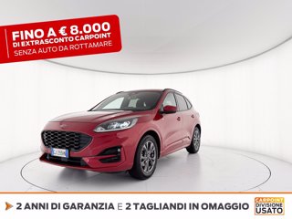 FORD Kuga 1.5 ecoblue st-line 2wd 120cv auto