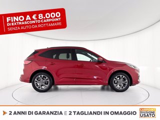 FORD Kuga 1.5 ecoblue st-line 2wd 120cv auto 4