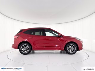 FORD Kuga 1.5 ecoblue st-line 2wd 120cv auto 4