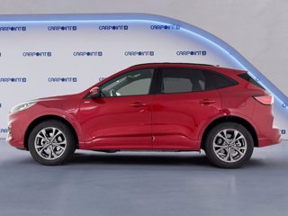 FORD Kuga 2.5 phev st-line x 2wd 225cv cvt 2