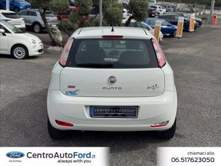 FIAT Punto 1.4 8V 5 porte Easypower Street 3