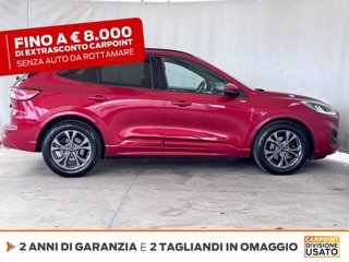 FORD Kuga 2.0 ecoblue st-line 2wd 120cv auto 5