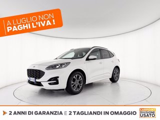 FORD Kuga 1.5 ecoblue st-line x 2wd 120cv auto