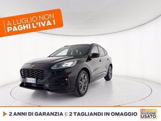 FORD Kuga 1.5 ecoblue st-line x 2wd 120cv auto