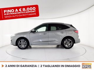 FORD Kuga 1.5 ecoblue st-line x 2wd 120cv auto 3