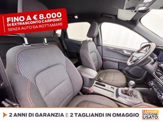 FORD Kuga 1.5 ecoblue st-line 2wd 120cv 6