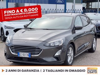 FORD Focus 1.5 ecoblue business co-pilot s&s 120cv auto my20.75