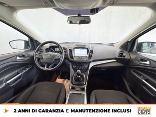 FORD Kuga 1.5 ecoboost business s&s 2wd 120cv my19.25 9