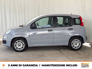 FIAT Panda 1.0 firefly hybrid city life s&s 70cv 3