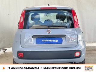 FIAT Panda 1.0 firefly hybrid city life s&s 70cv 4