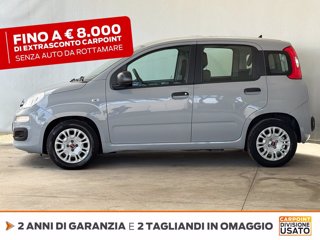 FIAT Panda 1.0 firefly hybrid s&s 70cv 5p.ti 2