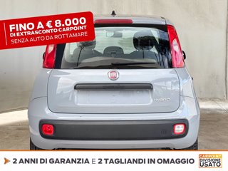 FIAT Panda 1.0 firefly hybrid s&s 70cv 5p.ti 3