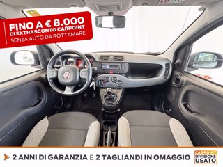 FIAT Panda 1.0 firefly hybrid s&s 70cv 5p.ti 9