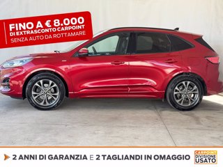 FORD Kuga 1.5 ecoblue st-line x 2wd 120cv 3