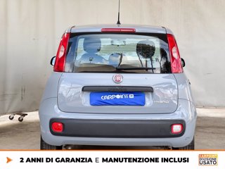 FIAT Panda 1.0 firefly hybrid city life s&s 70cv 4
