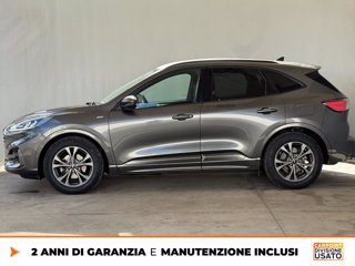 FORD Kuga 1.5 ecoblue st-line 2wd 120cv 3