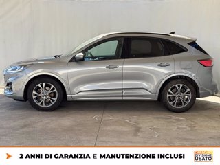 FORD Kuga 1.5 ecoblue st-line 2wd 120cv 3