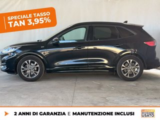 FORD Kuga 1.5 ecoblue st-line 2wd 120cv 3