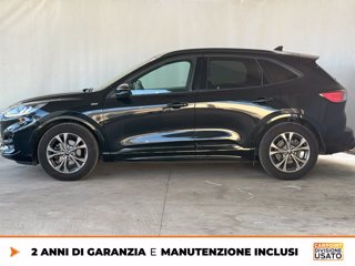 FORD Kuga 1.5 ecoblue st-line 2wd 120cv 3