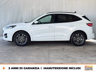FORD Kuga 2.5 full hybrid st-line 2wd 190cv cvt 3