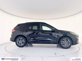 FORD Kuga 1.5 ecoblue st-line 2wd 120cv auto 4