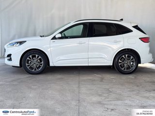 FORD Kuga 2.5 full hybrid st-line 2wd 190cv cvt 2