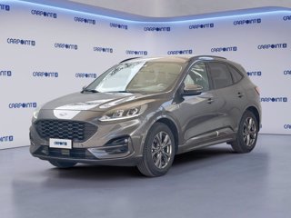 FORD Kuga 1.5 ecoblue st-line 2wd 120cv auto