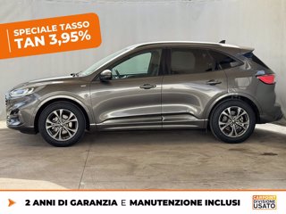 FORD Kuga 1.5 ecoblue st-line 2wd 120cv auto 2