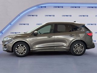 FORD Kuga 1.5 ecoblue st-line 2wd 120cv auto 2