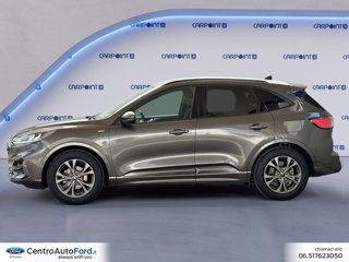 FORD Kuga 1.5 ecoblue st-line 2wd 120cv auto 2