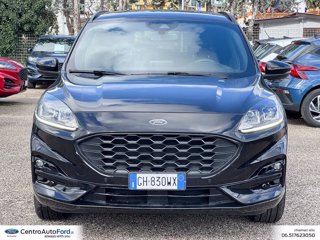 FORD Kuga 1.5 ecoblue st-line 2wd 120cv auto 1