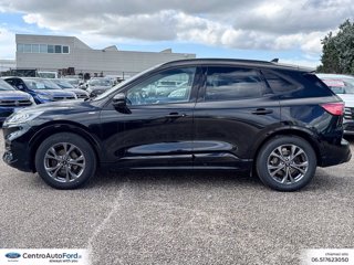 FORD Kuga 1.5 ecoblue st-line 2wd 120cv auto 2