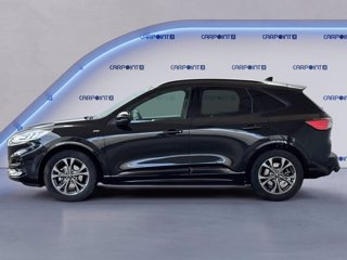 FORD Kuga 1.5 ecoblue st-line 2wd 120cv auto 3
