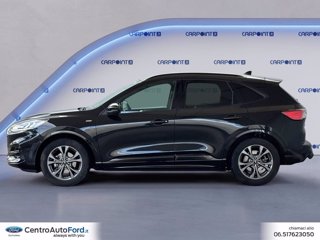 FORD Kuga 1.5 ecoblue st-line 2wd 120cv auto 2
