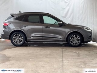 FORD Kuga 1.5 ecoblue st-line 2wd 120cv 4