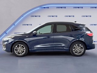 FORD Kuga 1.5 ecoblue st-line 2wd 120cv auto 2