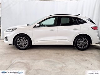 FORD Kuga 1.5 ecoblue st-line x 2wd 120cv auto 2