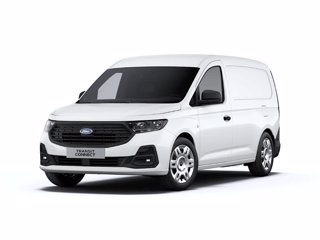 FORD Transit Connect 2.0 Diesel PL Furgone Trend 2