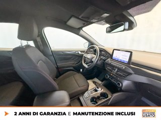 FORD Focus 1.5 ecoblue st-line co-pilot s&s 120cv auto 5