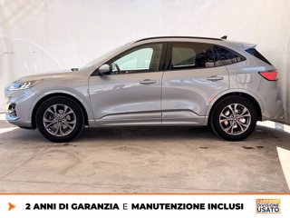 FORD Kuga 1.5 ecoblue st-line 2wd 120cv auto 2