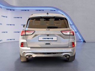 FORD Kuga 1.5 ecoblue st-line 2wd 120cv auto 3