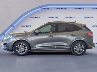 FORD Kuga 1.5 ecoblue st-line 2wd 120cv 2