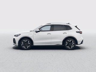 VOLKSWAGEN Tiguan 1.5 tsi ehybrid r-line 204cv dsg 1