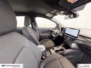FORD Focus 1.5 ecoblue st-line 115cv auto 5